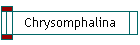Chrysomphalina