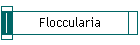 Floccularia