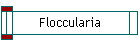 Floccularia