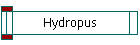 Hydropus