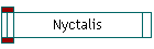 Nyctalis