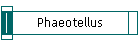 Phaeotellus