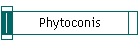 Phytoconis