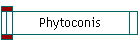 Phytoconis