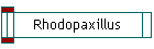 Rhodopaxillus