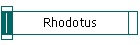 Rhodotus