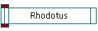 Rhodotus