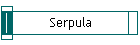 Serpula