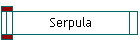 Serpula