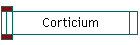 Corticium