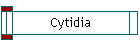 Cytidia