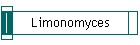 Limonomyces