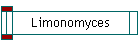 Limonomyces