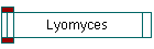 Lyomyces
