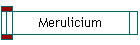 Merulicium