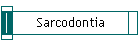 Sarcodontia