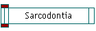 Sarcodontia