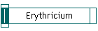 Erythricium