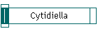 Cytidiella