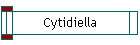 Cytidiella