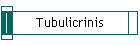 Tubulicrinis