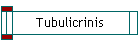 Tubulicrinis