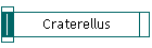 Craterellus