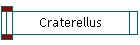 Craterellus
