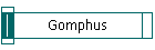 Gomphus