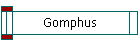 Gomphus