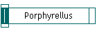 Porphyrellus