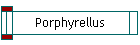 Porphyrellus