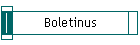 Boletinus