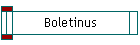 Boletinus