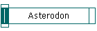 Asterodon