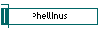 Phellinus