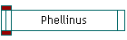 Phellinus