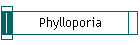Phylloporia