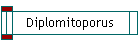 Diplomitoporus