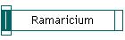 Ramaricium