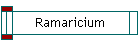 Ramaricium