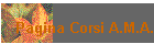 Pagina Corsi A.M.A.