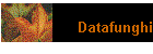 Datafunghi