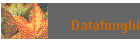 Datafunghi