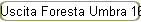Uscita Foresta Umbra 16-17-18-10 2020
