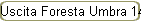 Uscita Foresta Umbra 14-15-16-10 2022