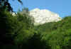 Dscf1111 2004.jpg (193014 byte)