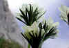 Dscn5650 2004.jpg (83764 byte)