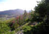 P1010053 2004.jpg (185852 byte)
