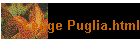 Legge Puglia.html
